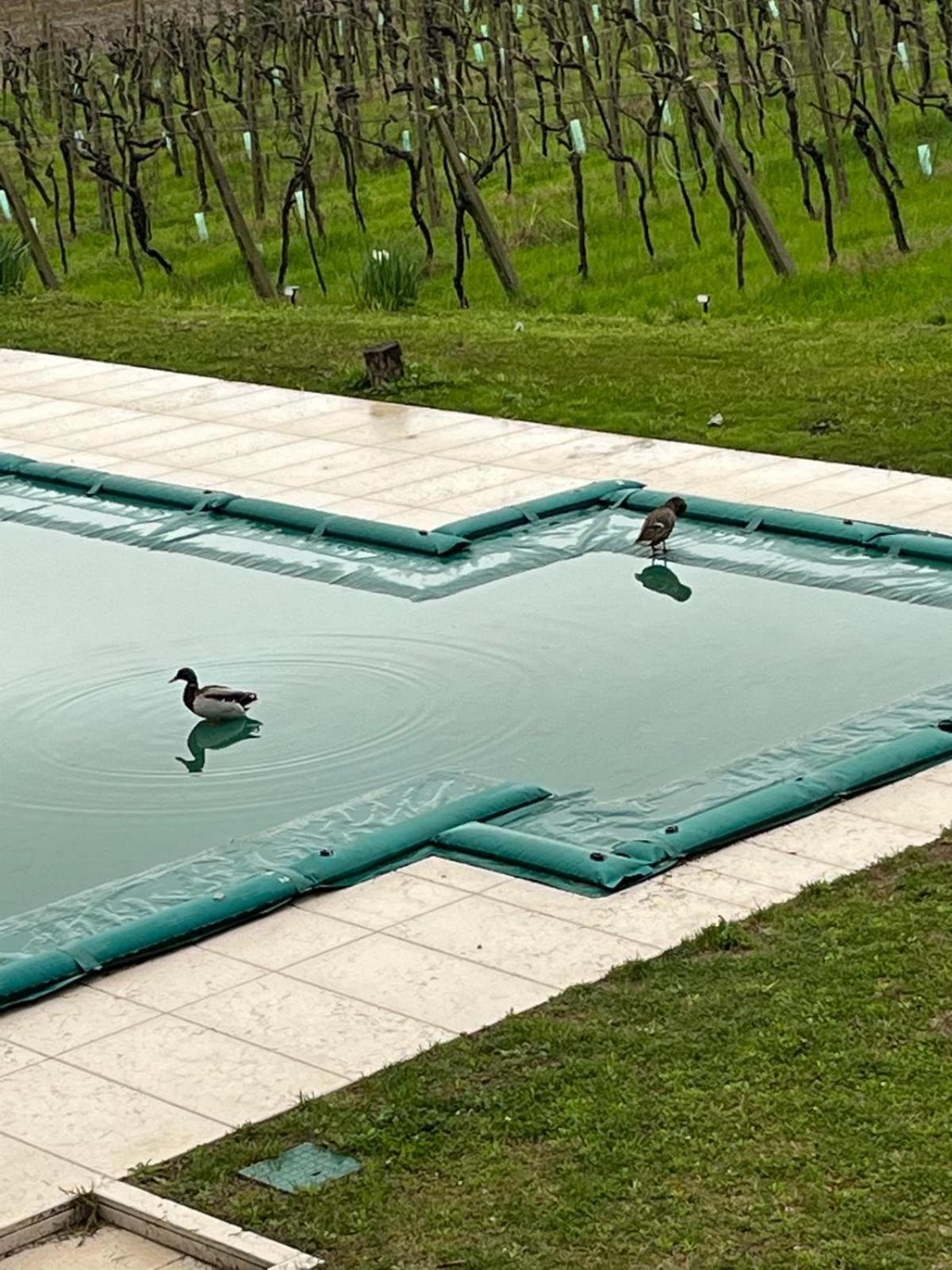 Agriturismo Al Dugale Lazise Dış mekan fotoğraf