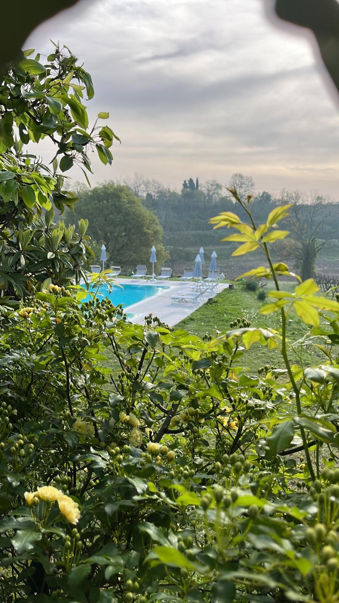 Agriturismo Al Dugale Lazise Dış mekan fotoğraf